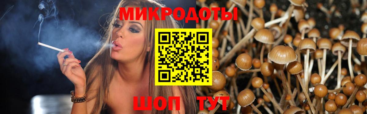 Ижевск  Галлюциногенные грибы прущие грибы  Вход с VPN 